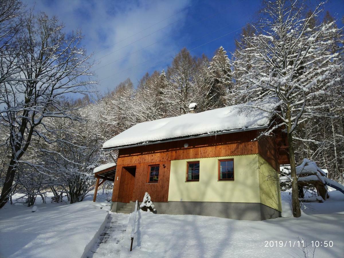 Chata Koutik Loucna nad Desnou Exterior photo